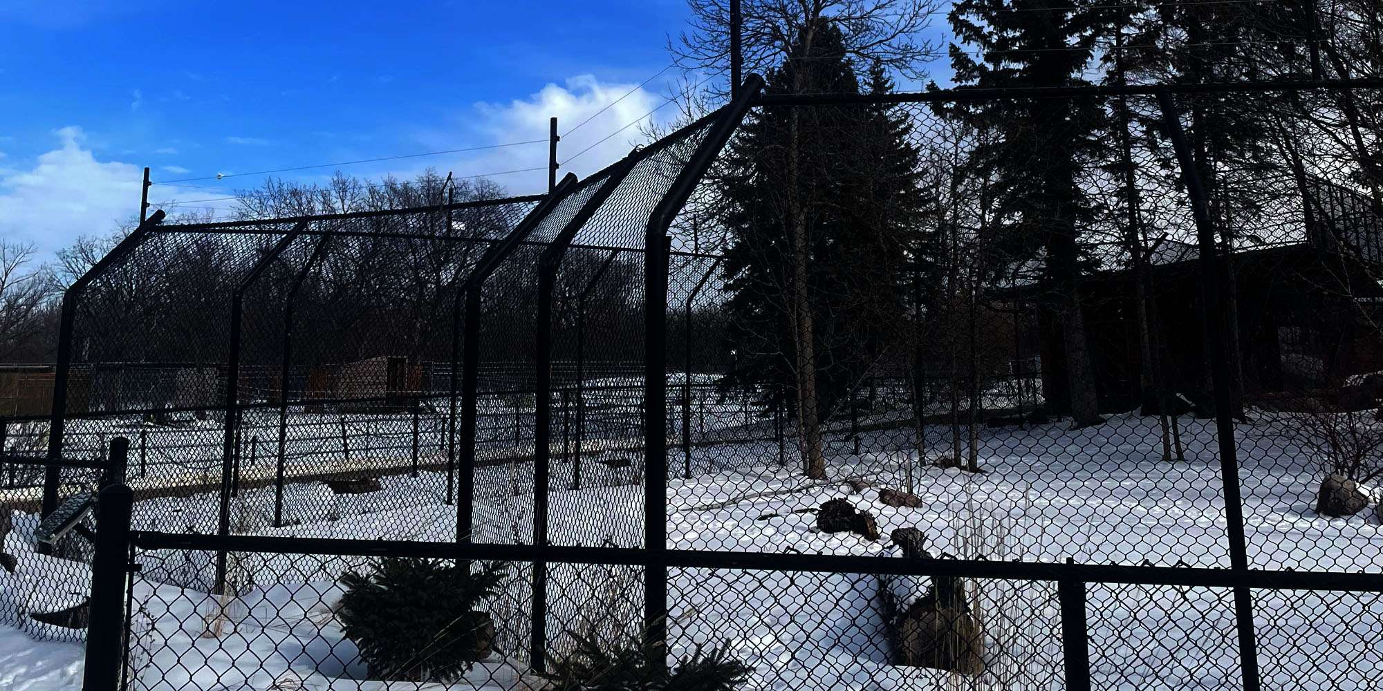 Wolf Enclosure - Assiniboine Park Zoo